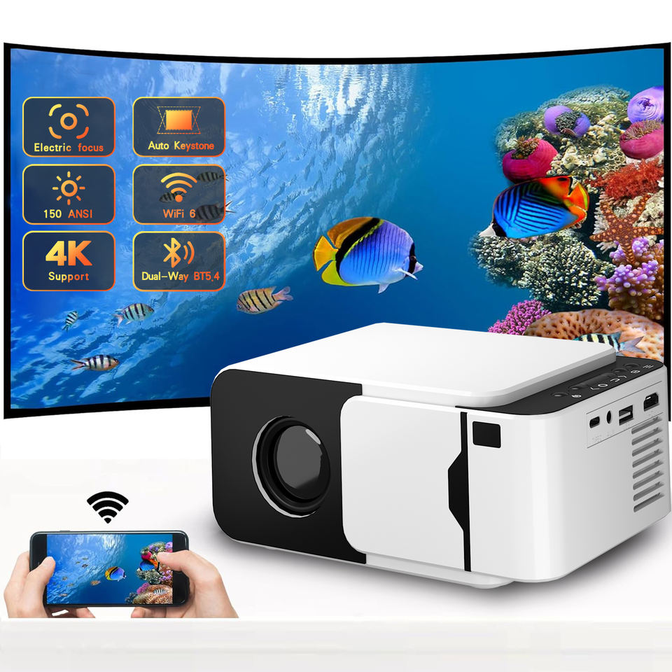 Q6 Projector